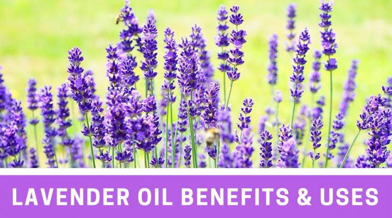 Lavender Essential Oil Benefits & Uses (Why I love it so much!)