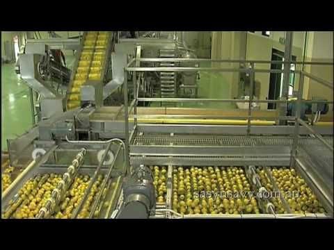Part 2: Sasy n Savy Essential Oil Extraction Process