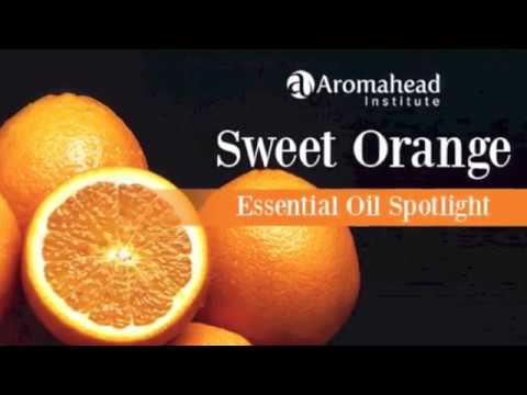 Sweet Orange Essential Oil Spotlight