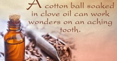 The Various Health Benefits of Cloves You Will Be Amazed to Know