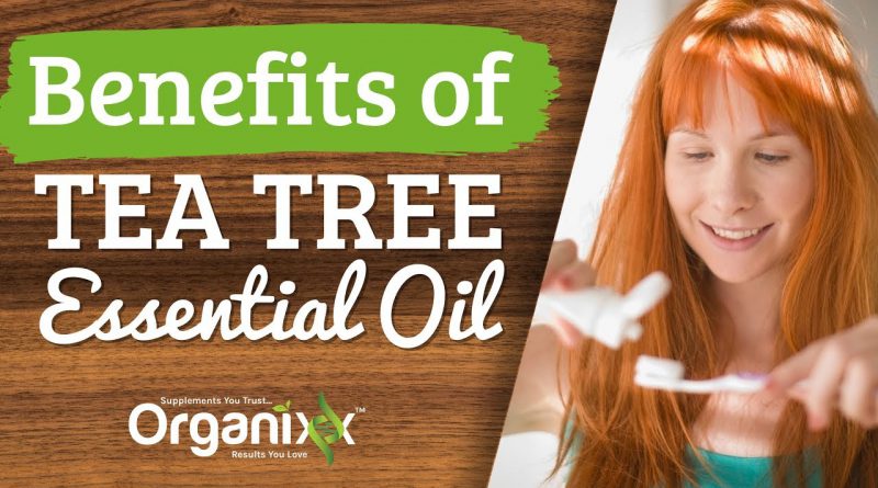 Top 10 Uses & Benefits of Tea Tree Essential Oil