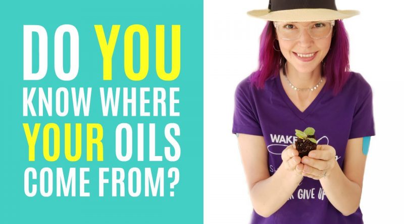 Tour An Essential Oil Farm & Distillery (Seed to Seal)