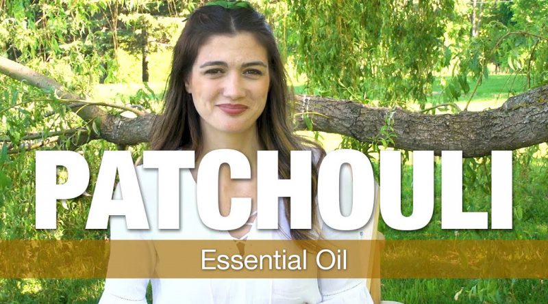 Essential Oil Series - Patchouli