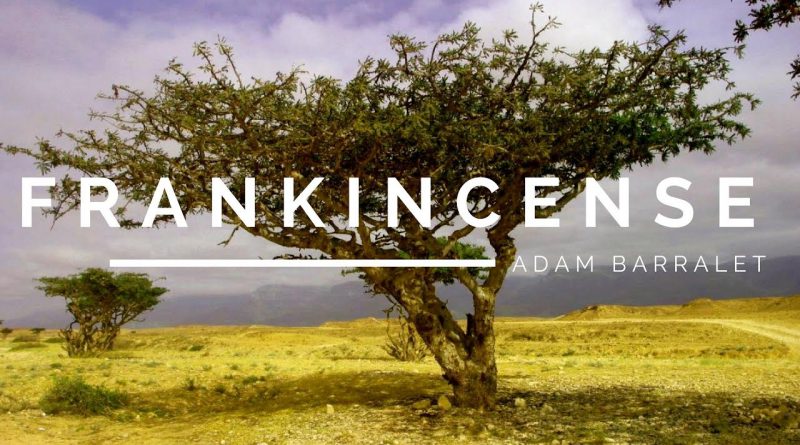Frankincense - The Oil of the Father
