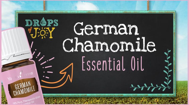 German Chamomile Essential Oil