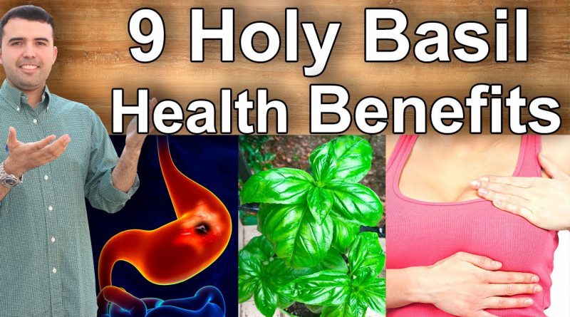 Holy Basil Health Benefits – What is Holy Basil Good For, Its Benefits and Properties