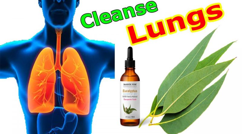 How to Cleanse Your Lungs with Eucalyptus Oil
