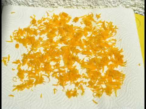 How to Extract Oil from Orange Peels – Anita Fincham Aromatherapy Massage