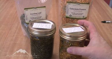 How to Make Herbal Infused Oils