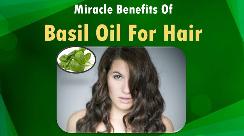 Miracle Benefits of Basil Oil for hair.
