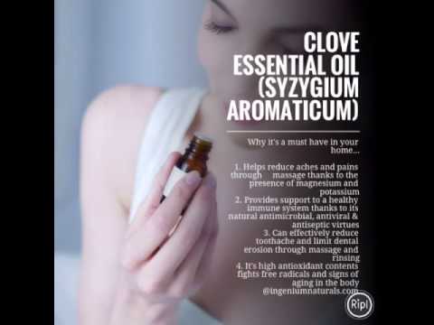 The benefits of Clove Essential Oil