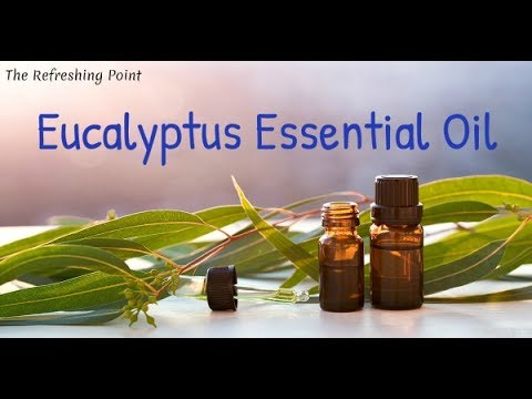 Unexpected Benefits of Eucalyptus Essential Oil - Supports Respiratory Health - Soothes Sore Muscles
