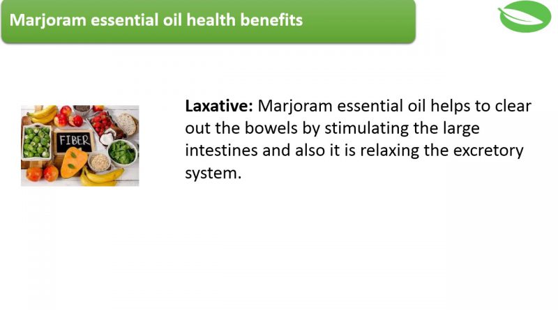 health benefits of marjoram essential oil - 7 surprising health benefits of marjoram essential oil