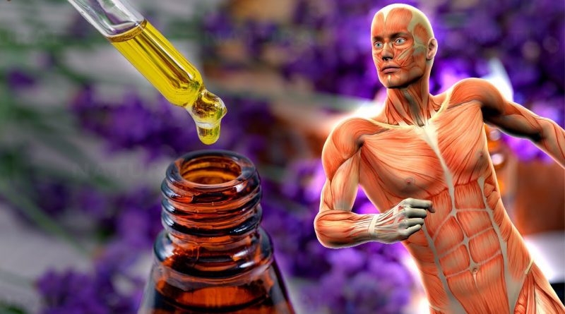 10 Lavender Essential Oil Uses & Healing Benefits You Need to Know!