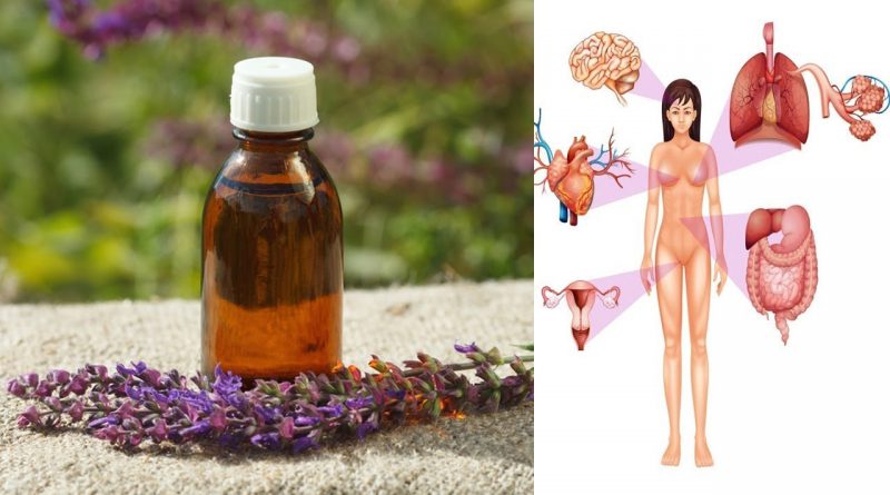 8 Amazing Benefits of Clary Sage Essential Oil  - Home Health Care