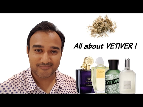 BEST VETIVER FRAGRANCES | All you need to know about Vetiver !