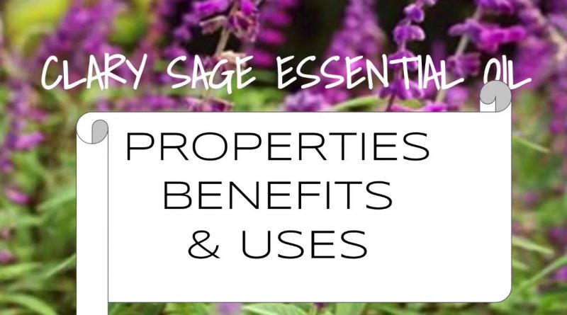 Clary Sage Essential Oil - Benefits & Uses