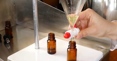 Distillation of Rosemary essential oil
