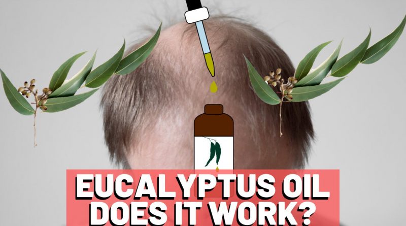 Eucalyptus Oil For Hair Growth - Does It HELP?