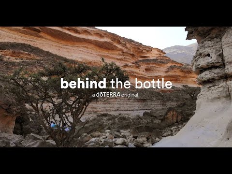 Frankincense Essential Oil | doTERRA Behind the Bottle: Episode 10