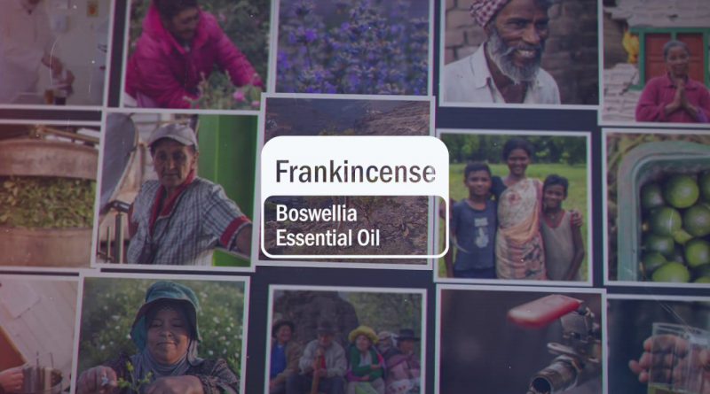 Frankincense Essential Oil | doTERRA Behind the Bottle: Episode 9