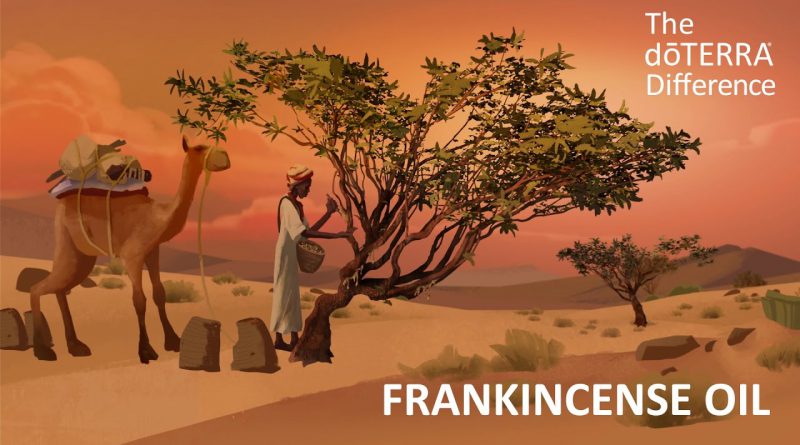 Frankincense Oil - The doTERRA Difference