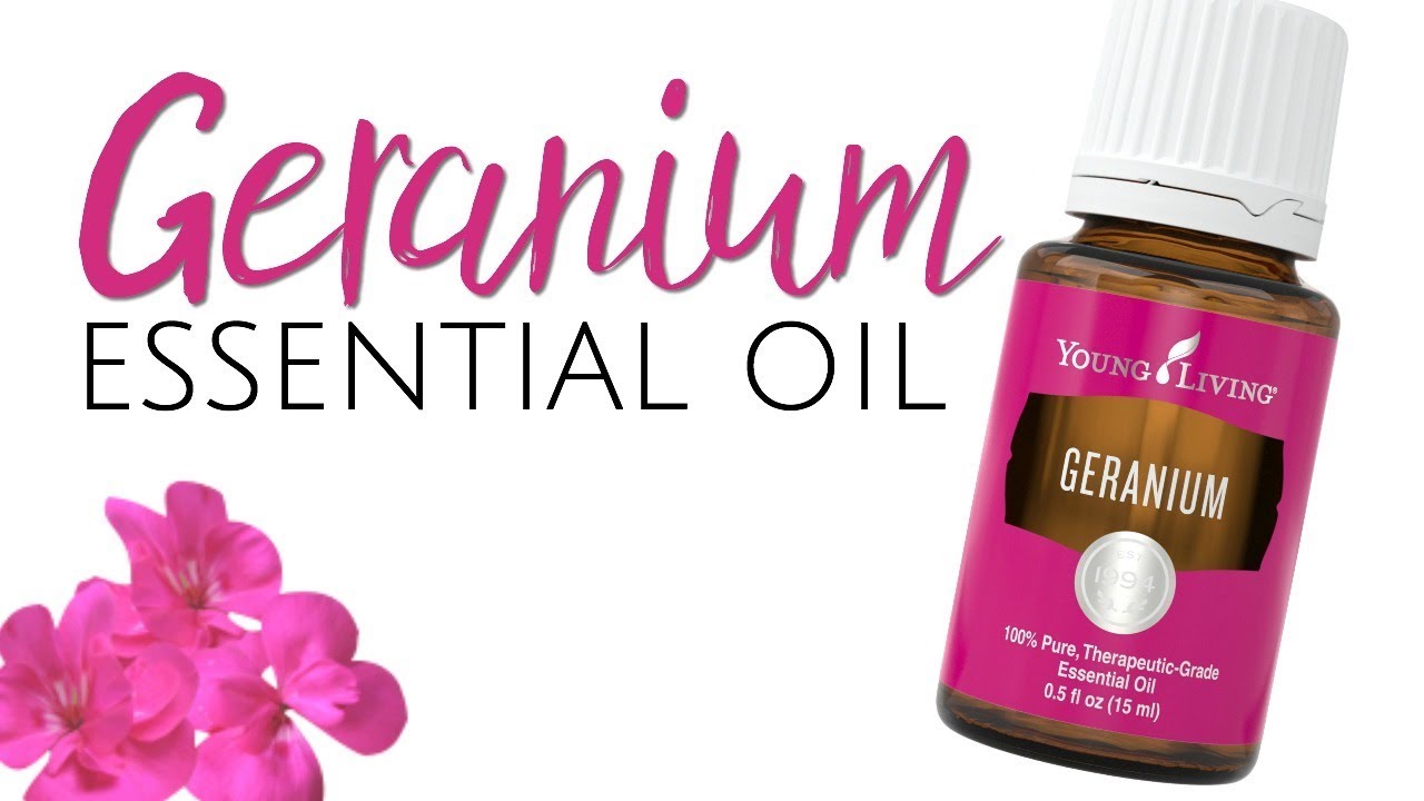Geranium Essential Oil Young Living Anita Fincham Aromatherapy Massage