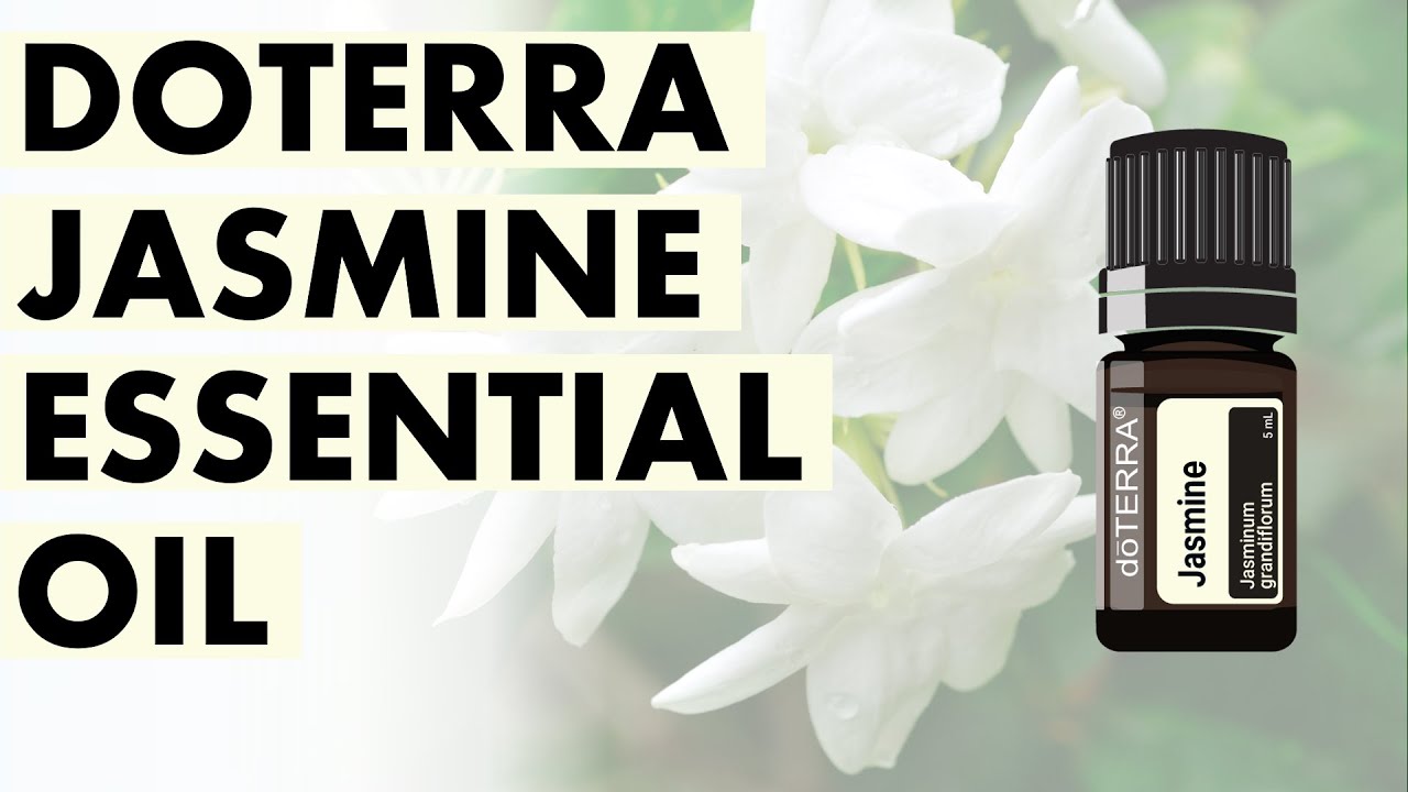 Jasmine Essential Oil Impressive Benefits And Uses Anita Fincham Aromatherapy Massage