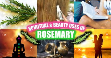 ROSEMARY BEAUTY & SPIRITUAL USES! │ CLEANSING, STUDYING, HAIR & SKIN TONER, LOVE & MORE