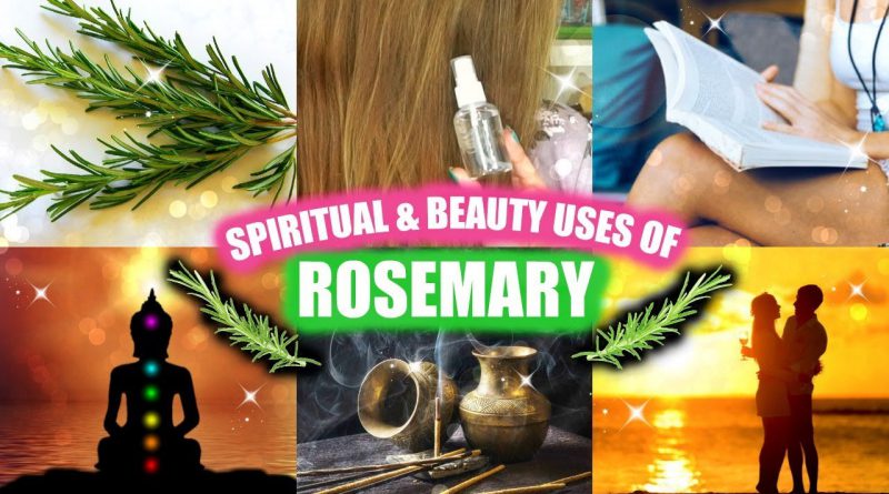 ROSEMARY BEAUTY & SPIRITUAL USES! │ CLEANSING, STUDYING, HAIR & SKIN TONER, LOVE & MORE