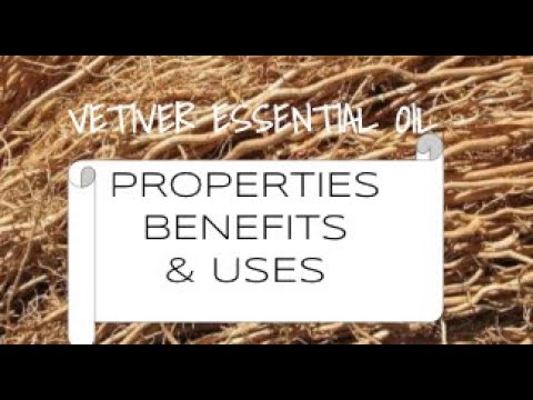 Vetiver Essential Oil - Benefits & Uses