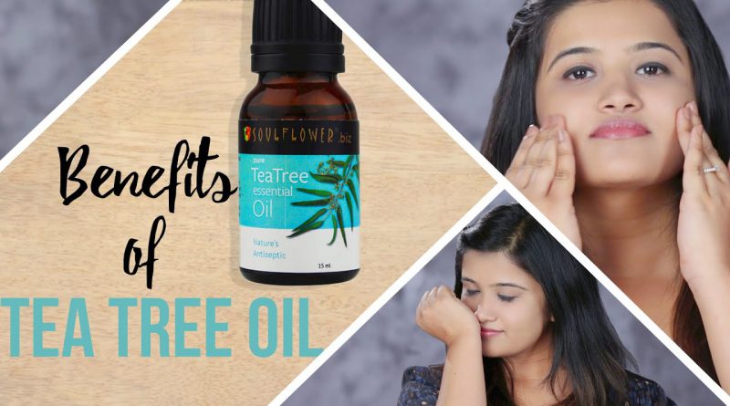 5 Essential Uses of Tea Tree Oil For Face And Skin - Glamrs