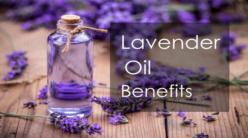 Benefits of Lavender Essential Oil