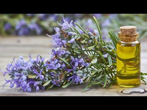 DIY Rosemary Oil At Home For Hair And Skin(Fast Method)