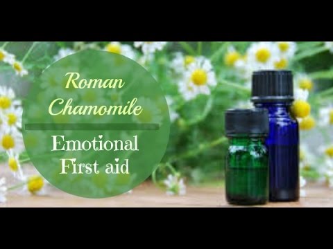 Roman Chamomile Essential Oil for Emotions