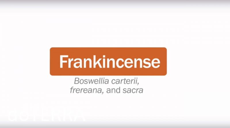 doTERRA® Frankincense Oil Uses and Benefits