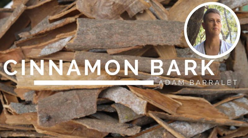 Cinnamon Bark - The Oil of Passion