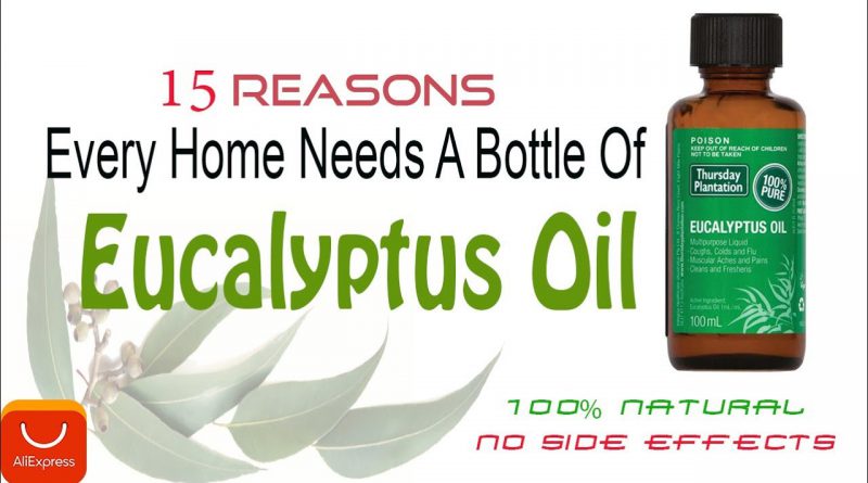 Eucalyptus Essential Oil Benefits |15 Reasons Every Home Needs A Bottle Of Eucalyptus Oil