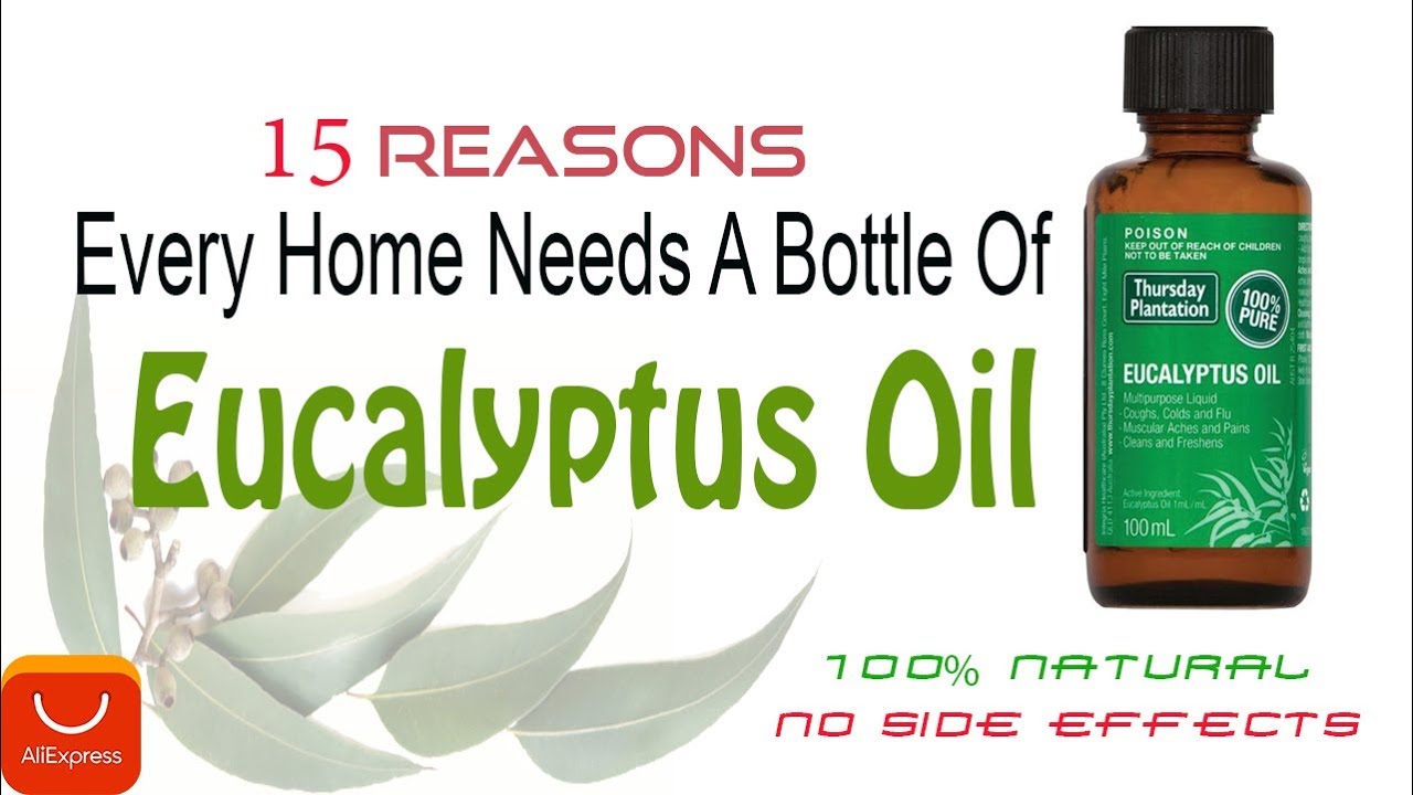 Eucalyptus Essential Oil Benefits |15 Reasons Every Home Needs A Bottle