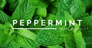 Peppermint - The Oil of Clarity