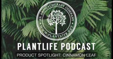 Product Spotlight: Cinnamon Leaf Essential Oil - Plantlife Podcast #34