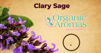 4 Incredible Benefits of Clary Sage Essential Oil
