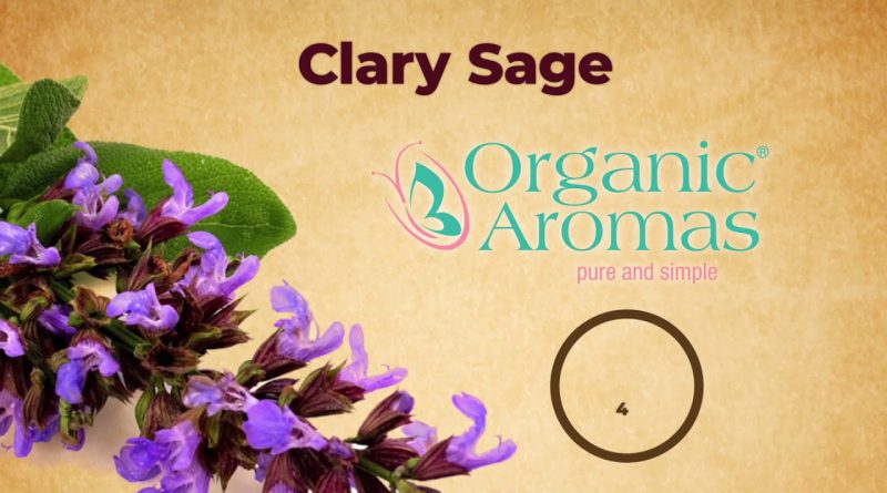 4 Incredible Benefits of Clary Sage Essential Oil