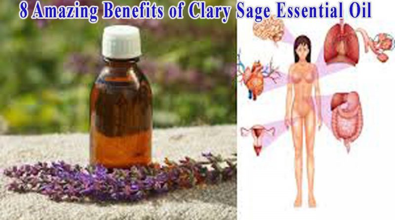 8 Amazing Benefits of Clary Sage Essential Oil  - The Health Nerd