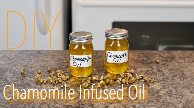 DIY Chamomile Infused Oil for Healthy Skin, Well-Being & Aromatherapy 🌿