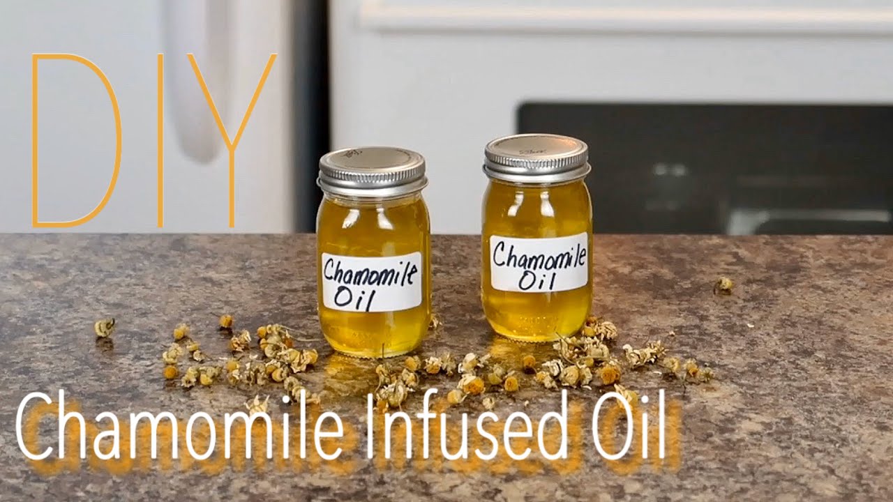 DIY Chamomile Infused Oil for Healthy Skin, WellBeing & Aromatherapy 🌿