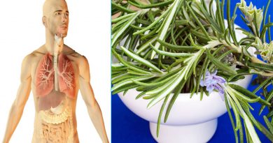 Here are the top 10 secret health benefits of rosemary for you.