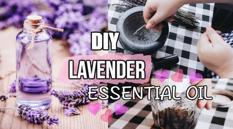 How To Make Lavender Essential Oil