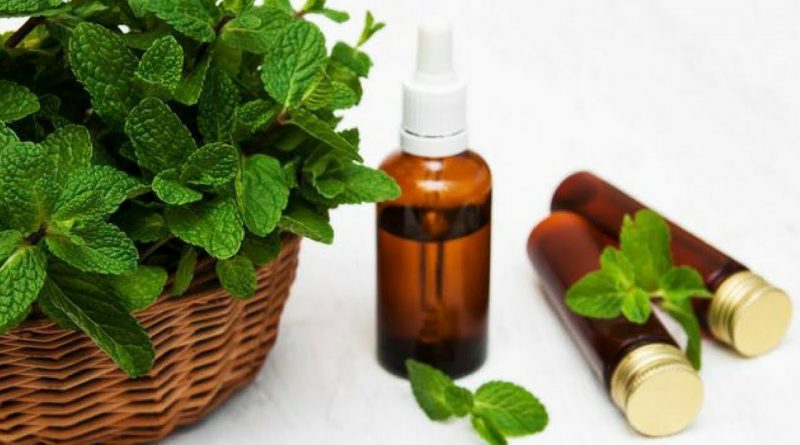 How to Make Peppermint Essential Oil for hair skin cooking and make your home smell good yvonnejack