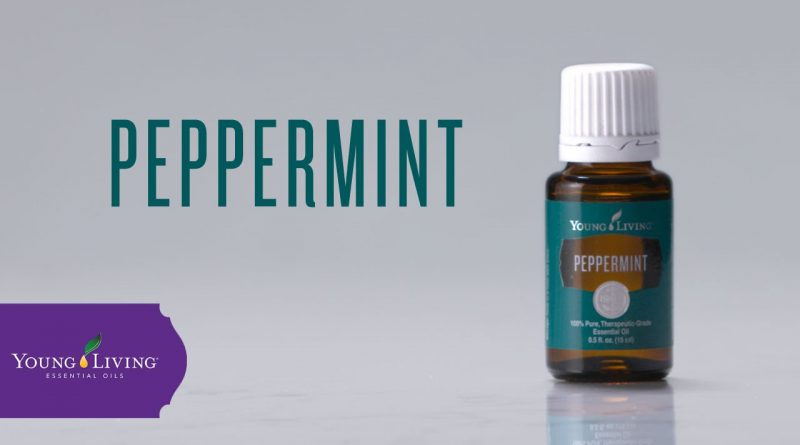 Peppermint Essential Oil: Benefits & Uses | Young Living Essential Oils